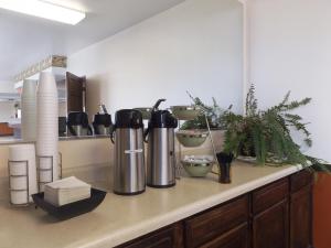 econo lodge manistee