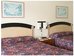 scottish inn and suites
