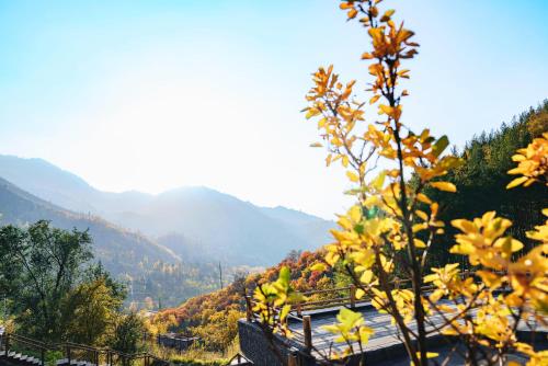 qazaq auyl eco hotel