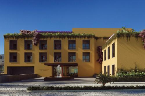 clevia san miguel de allende autograph collection