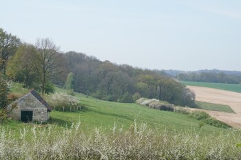 hotel bemelmans