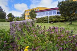 panorama ferien hotel harz