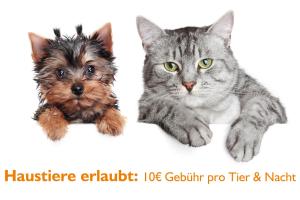 panorama ferien hotel harz