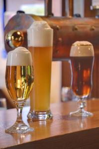 hotel schwalenberger malkasten