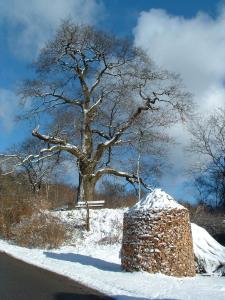 hotel schwalenberger malkasten