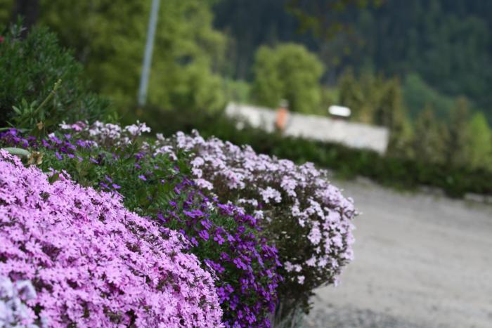 hotel adler barental