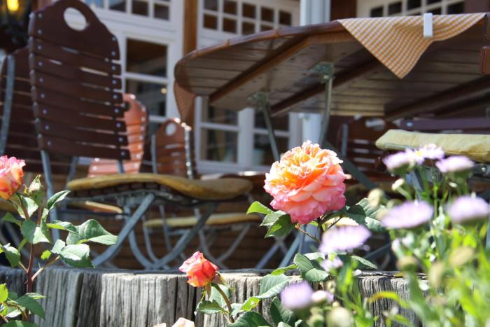 hotel adler barental