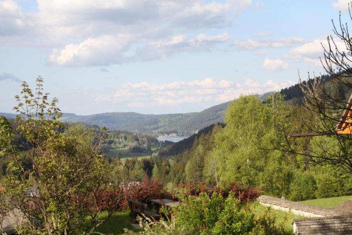 hotel adler barental