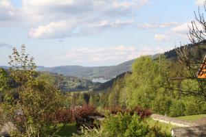 hotel adler barental