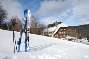 hotel adler barental