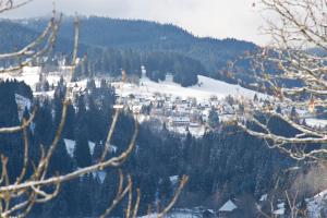 hotel adler barental