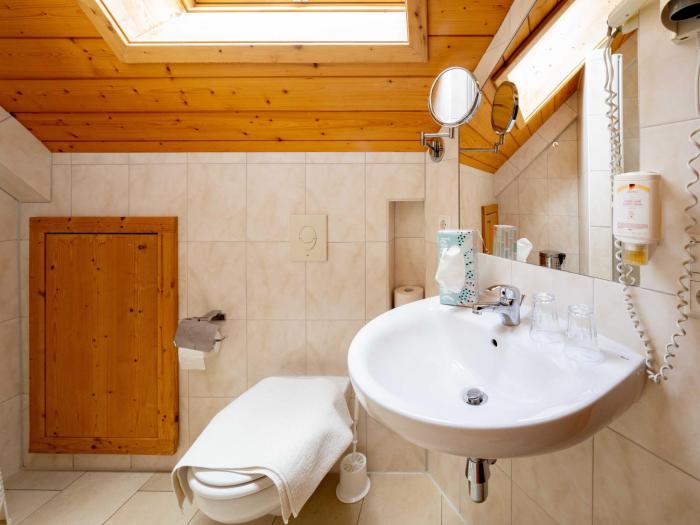 hohengasthof gruner baum