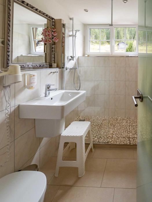 hohengasthof gruner baum