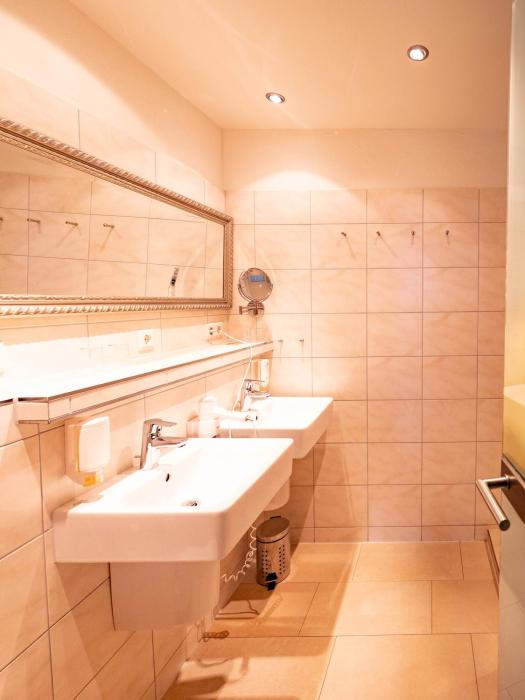 hohengasthof gruner baum