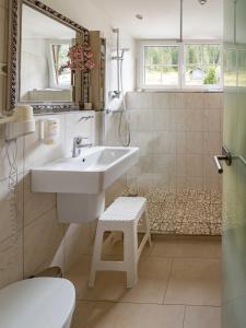 hohengasthof gruner baum