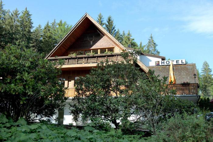 waldhotel ehrental