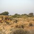 sujan the serai jaisalmer relais and chateaux