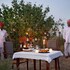 sujan the serai jaisalmer relais and chateaux
