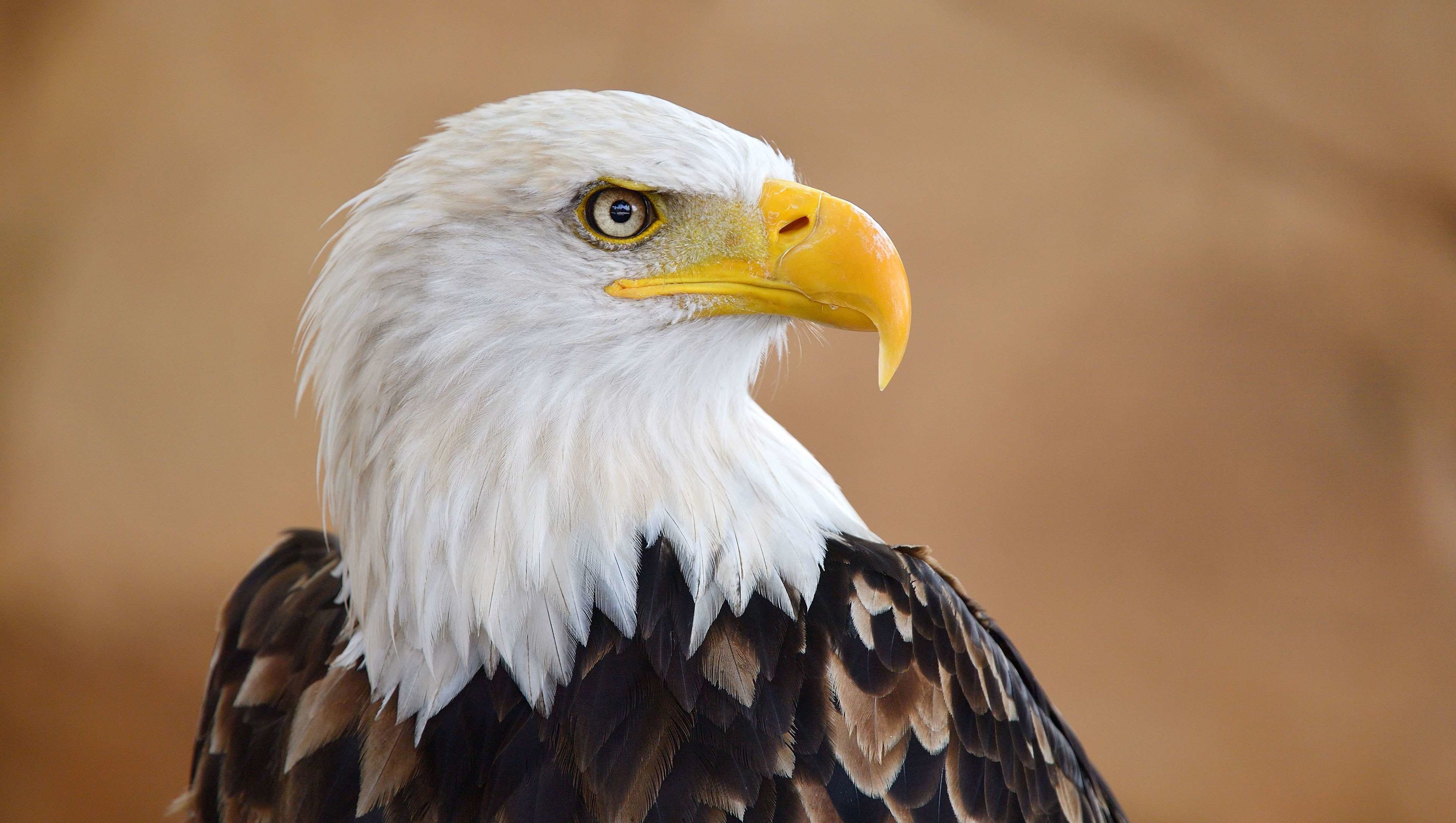 travelodge newport news