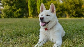 travelodge newport news