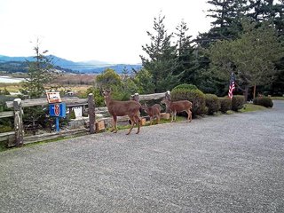 Motel 6 Gold Beach, Or,Nesika Beach>>Gold Beach,2 star