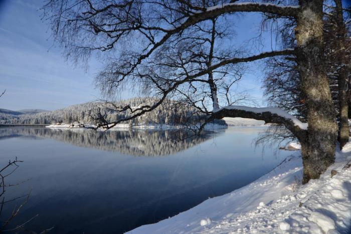 schluchsee