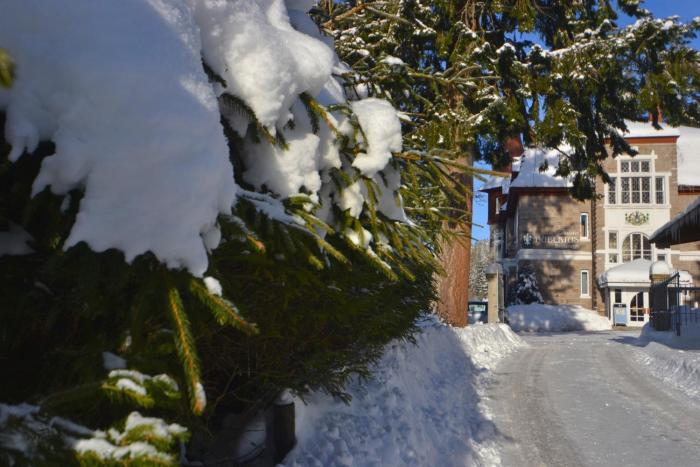 seehotel hubertus schluchsee