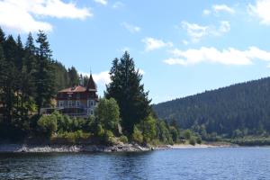 seehotel hubertus schluchsee