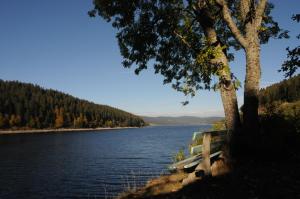 seehotel hubertus schluchsee