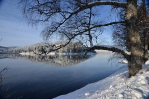 seehotel hubertus schluchsee