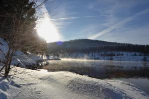 seehotel hubertus schluchsee