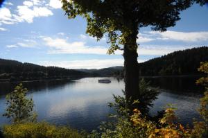 seehotel hubertus schluchsee