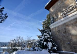 seehotel hubertus schluchsee