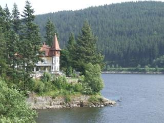 seehotel hubertus schluchsee