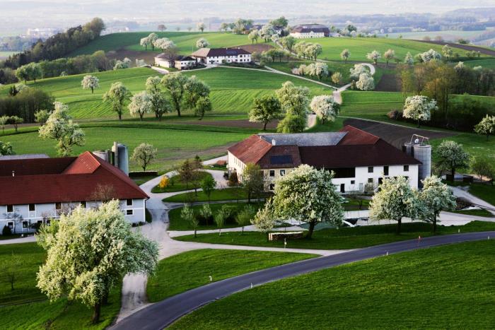 gafringwirt