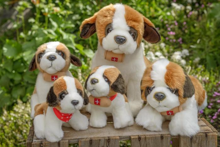 au bivouac de napolon