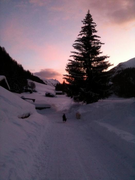 au bivouac de napolon