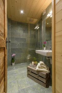 au bivouac de napolon