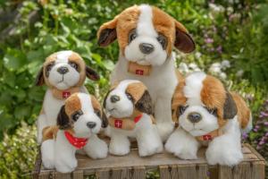 au bivouac de napolon