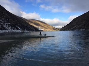 au bivouac de napolon