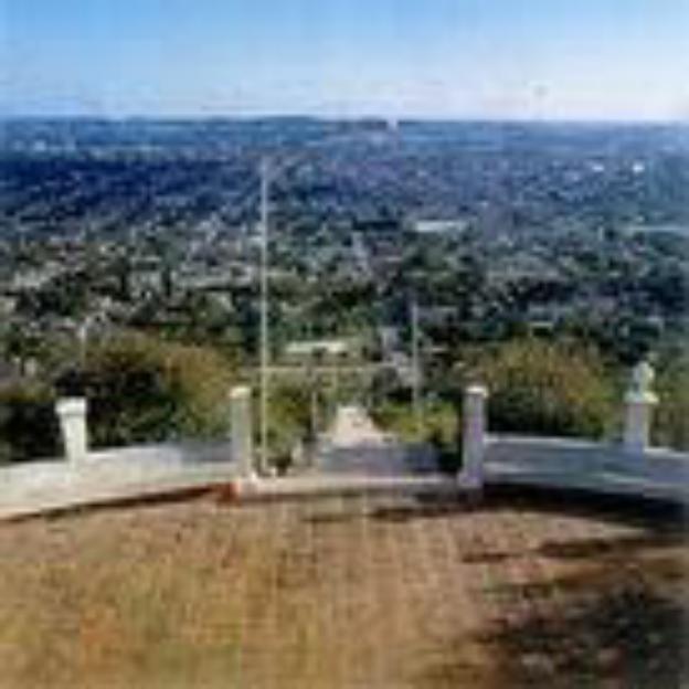 holguin