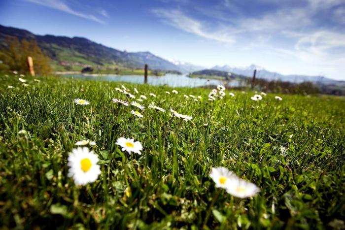 romantik hotel le vignier
