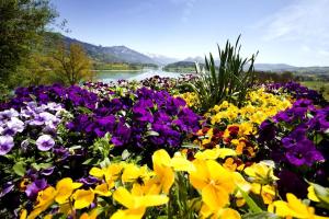 romantik hotel le vignier