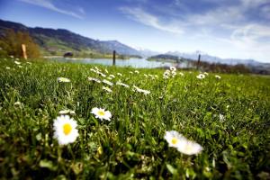 romantik hotel le vignier