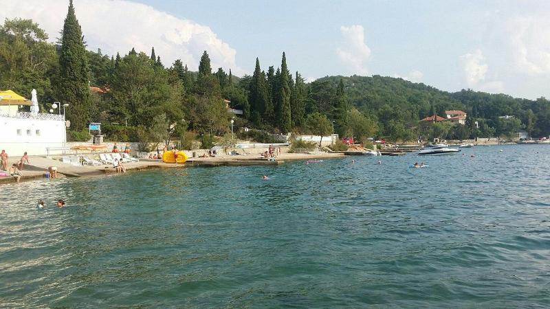 delfin hotel