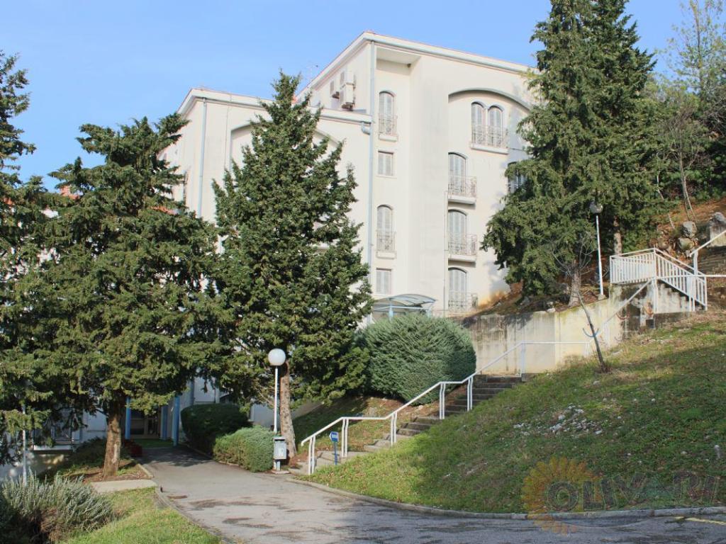 delfin hotel