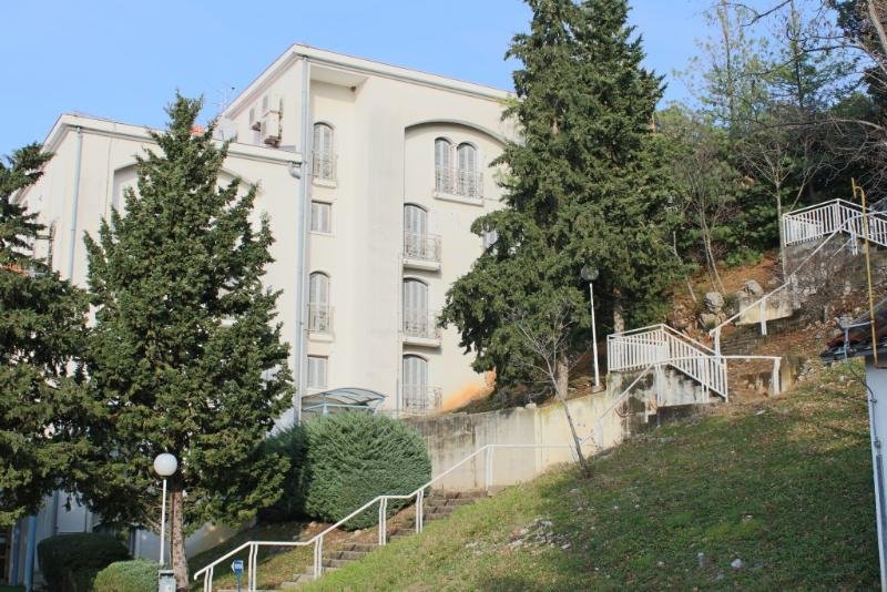 delfin hotel