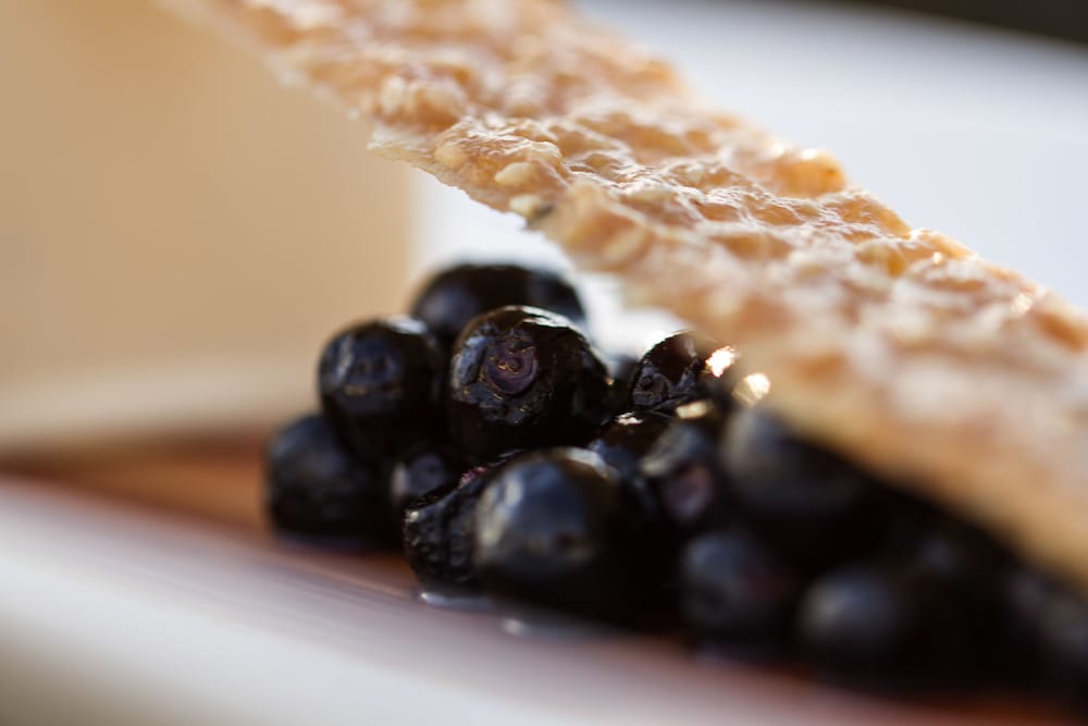 seehotel plau am see