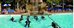 diverhotel odyssey aguadulce