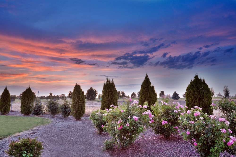 holiday inn express hotel and suites nampa by ihg